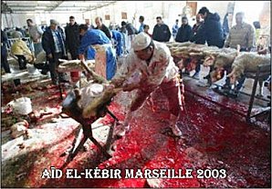 http://francaisdefrance.files.wordpress.com/2011/10/abattage-halal.jpg