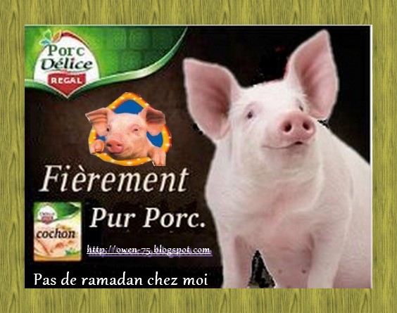 cochon-pur-porc.jpg